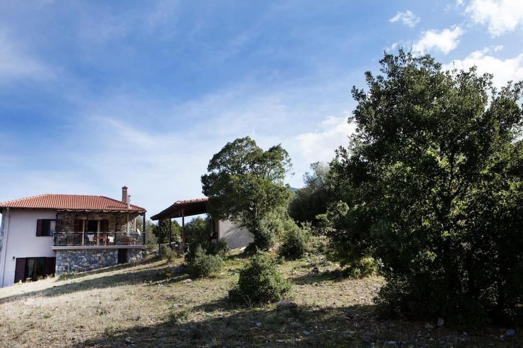 Bezeniko Amazing Arcadian Property! Vlacherna 外观 照片