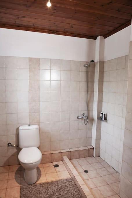 Bezeniko Amazing Arcadian Property! Vlacherna 外观 照片
